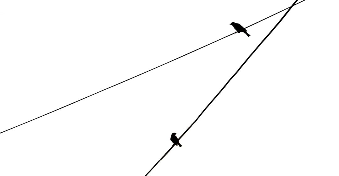 Treino Funcional e Mobilidade